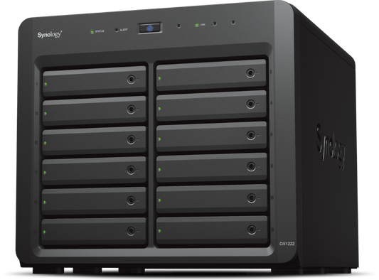 Synology DX1222 12-Bay